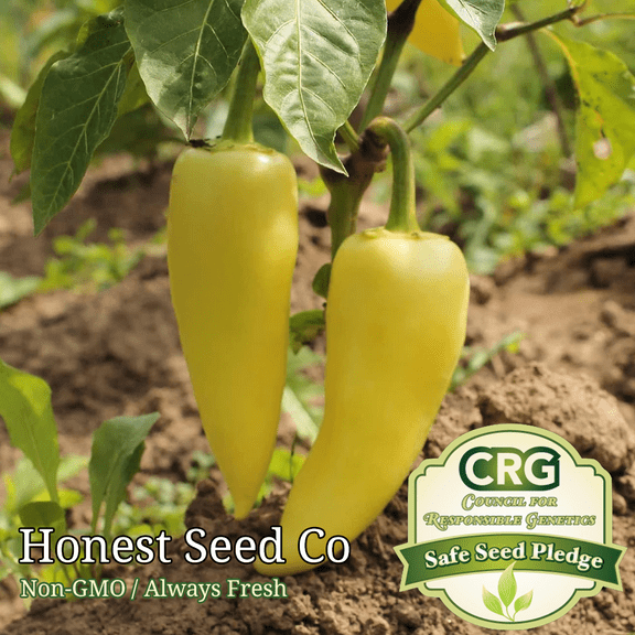Hot Wax Pepper Seeds | Non-GMO | Fresh Garden Seeds USA
