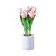 thumbnail image 1 of Cateissary Lámpara de elegante y práctica para la decoración del hogar y la decoración de la habitación lámpara de flores artificiales Iluminación y accesorios 6 cabezas rosa, 1 of 6