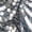 Silver, variant on Breathable Meshes Short Shawl Sequins Embroidery Lace Tippets Wedding Wraps for Casual or Party Wear