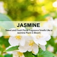 thumbnail image 2 of Large 12 Packs Jasmine Hanging Closet Deodorizer Air Freshener Long Lasting Scented Sachets Smell Goods for House, 2 of 6