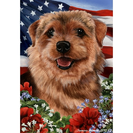 Norwich Terrier Grizzle - Best of Breed  Patriotic I Garden