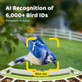 thumbnail image 4 of Comedero inteligente para pájaros Birdfy con cámara, metal, energía solar, 4 of 9