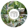 thumbnail image 6 of CHICHUMID Plant Tape for Climbing Plants 4 Rolls 1200.00X3.00X0.01in, 6 of 6