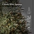 thumbnail image 3 of Árbol de Navidad Balsam Hill Classic abeto azul 6.5 pies sin iluminación, 3 of 8
