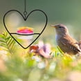 thumbnail image 4 of IFANLANDOR Colgante De Para Colibrí De Hierro Negro Para Uso En Jardín O, 4 of 8