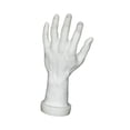 thumbnail image 4 of TISHITA Hand Model Fake Human Hand for Themed Party Cosplay Decoration Nail Training White, 4 of 8