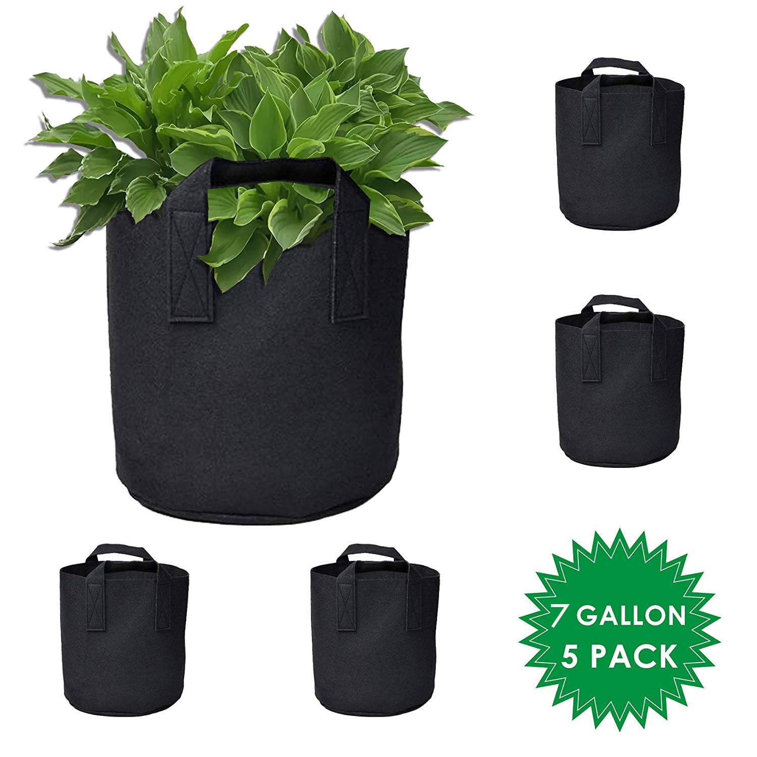 LATERN 6 Pack 5 Gallons Plant Growing Bags, Nonwoven Fabric Breathable Grow Bag 