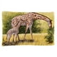 Carolines Treasures BDBA0309PILLOWCASE Girafes par Daphne Baxter Tissu Taie d'Oreiller Standard – image 1 sur 2