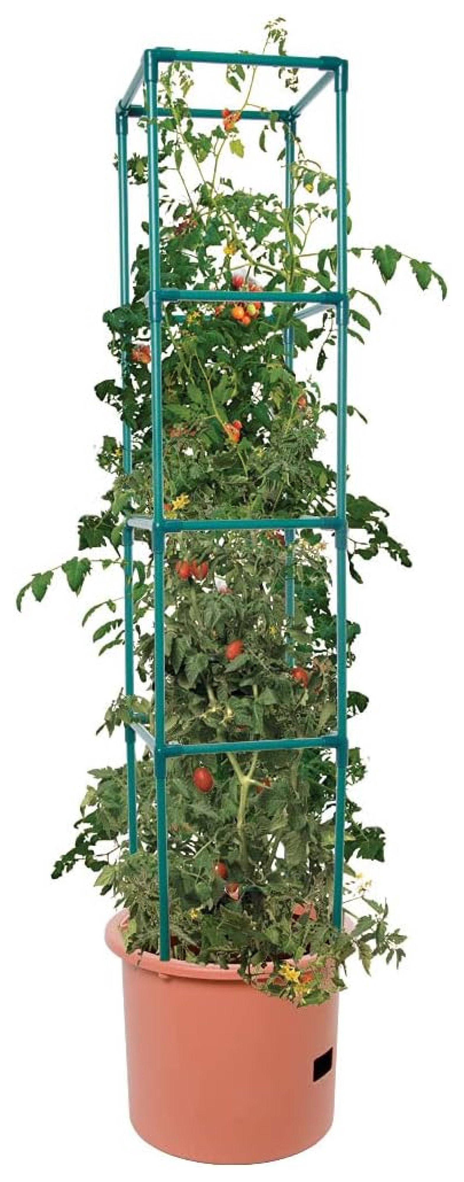 Tomato Planter with Tower - 4' Heavy Duty Plant Support for Tomatoes, Beans & Climbing Plants - Self-Watering, Lightweight Garden Trellis - Green