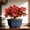 A, variant on Medium Hexagon Plastic Plant Pot with Saucer, Terracotta Look Planter for Indoor Outdoor Plants, Flower Pot with Drainage Holes for Garden Balcony Windowsill