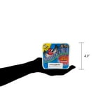 C&S Products Woodpecker Suet Treat, 11 oz Cake, Wild Bird Food