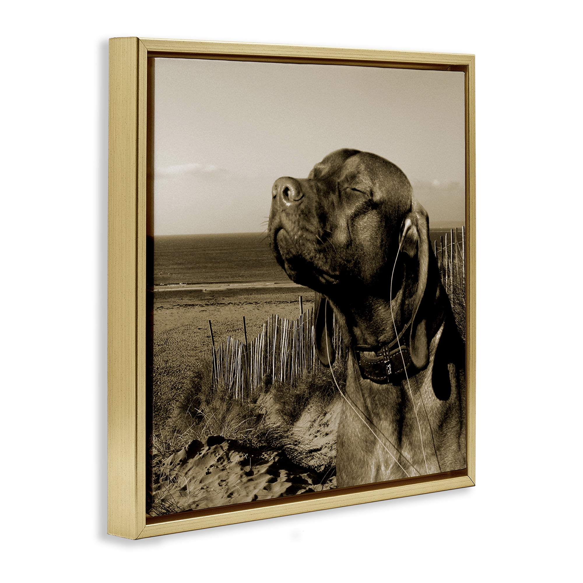 Stupell Industries Relaxed Dog with Music Animals & Insects Photography Gold Floater Framed Canvas Art Print Wall Art, 25 x 25