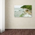 thumbnail image 3 of Trademark Fine Art 'Lakes 12' Canvas Art by Tom Kelly, 3 of 3