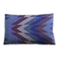 thumbnail image 1 of Ahgly Company Outdoor Rectangular Contemporary Lumbar Throw Pillow, 13 inch by 19 inch, 1 of 5