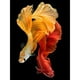 thumbnail image 1 of Pintura de diamante (DE5956) Imagen de diamantes de imitación de peces guppy cuadrados 5D (DM299) 45x60cm FLhrweasw Nuevo, 1 of 1