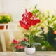 thumbnail image 4 of Maceta artificial de Phalaenopsis para mesa: pequeña planta redonda de simulación de orquídea bonsái para decorar el escritorio del hogar y la oficina, 4 of 6