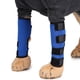 thumbnail image 5 of Greeniant 2 piezas de protectores de piernas para mascotas, rodilleras ajustables de recuperación, soporte de protección, estabilidad, envolturas a Suministros para perros Azul L Greeniant PT000579-09, 5 of 6