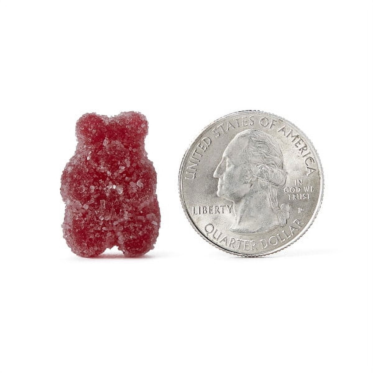 Digestive Advantage Kids Daily Probiotic Gummies - Survives Better than 50 Billion - 60 count (Pack of 3)