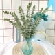 thumbnail image 4 of Avdjesfny Eucalipto artificial para exteriores, 16 hojas, tallos, flores artificiales para el hogar, oficina, ramo de flores, centro de mesa, decoración de boda, decoración navideña, 4 of 5