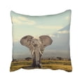 thumbnail image 1 of Funda de almohada ABPHQTO Elefante de Tanzania Parque Nacional Kilimanjaro 45x45 cm, 1 of 1