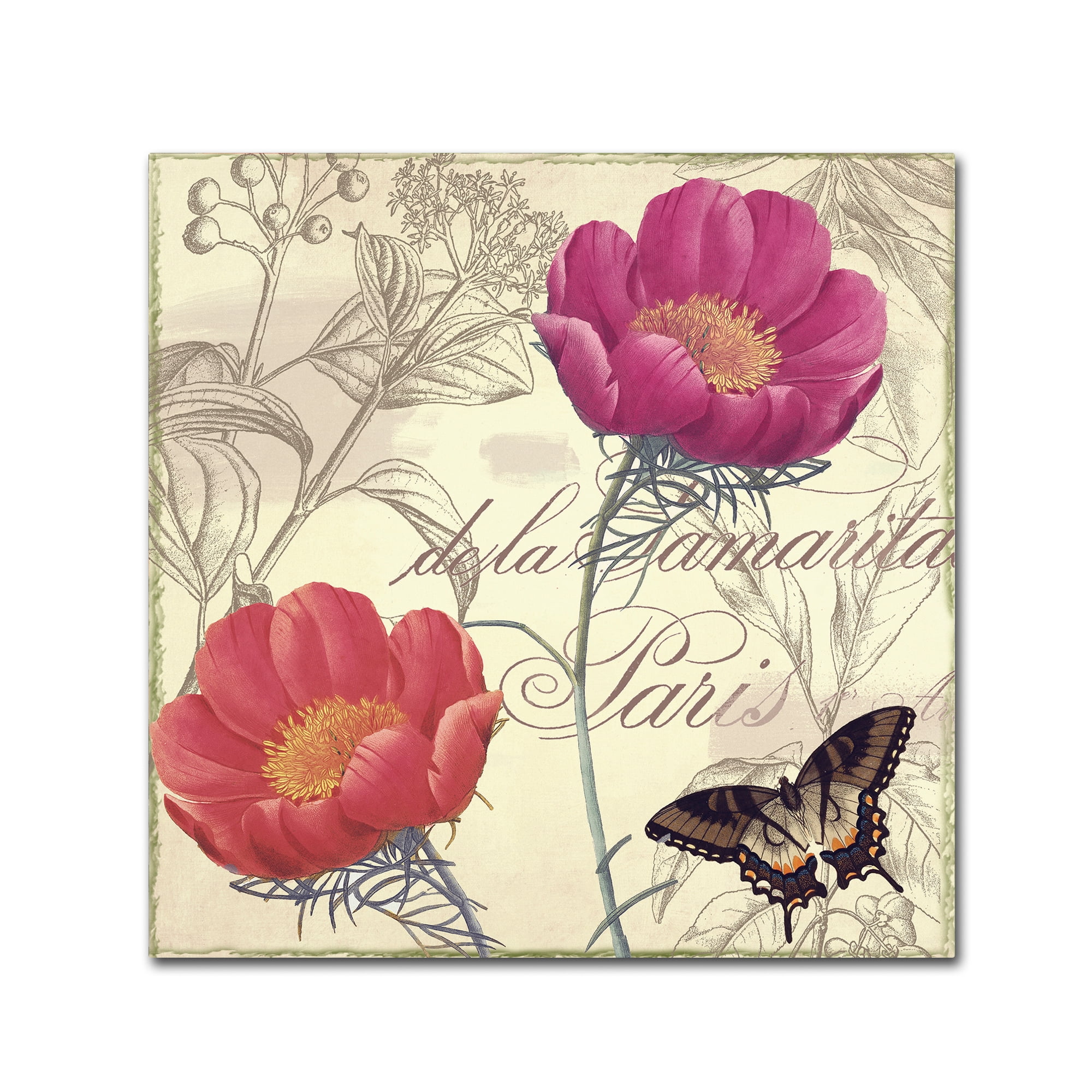 Trademark Fine Art "Petals of Paris I" Canvas Art by Color Bakery