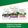 thumbnail image 5 of 2X - Russell Stover Sugar Free Assorted Candy Caramels Standup Bag - 17.6oz, 5 of 5