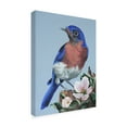 thumbnail image 2 of Trademark Fine Art 'Bluebird Watch' Canvas Art by Carol J Rupp, 2 of 3