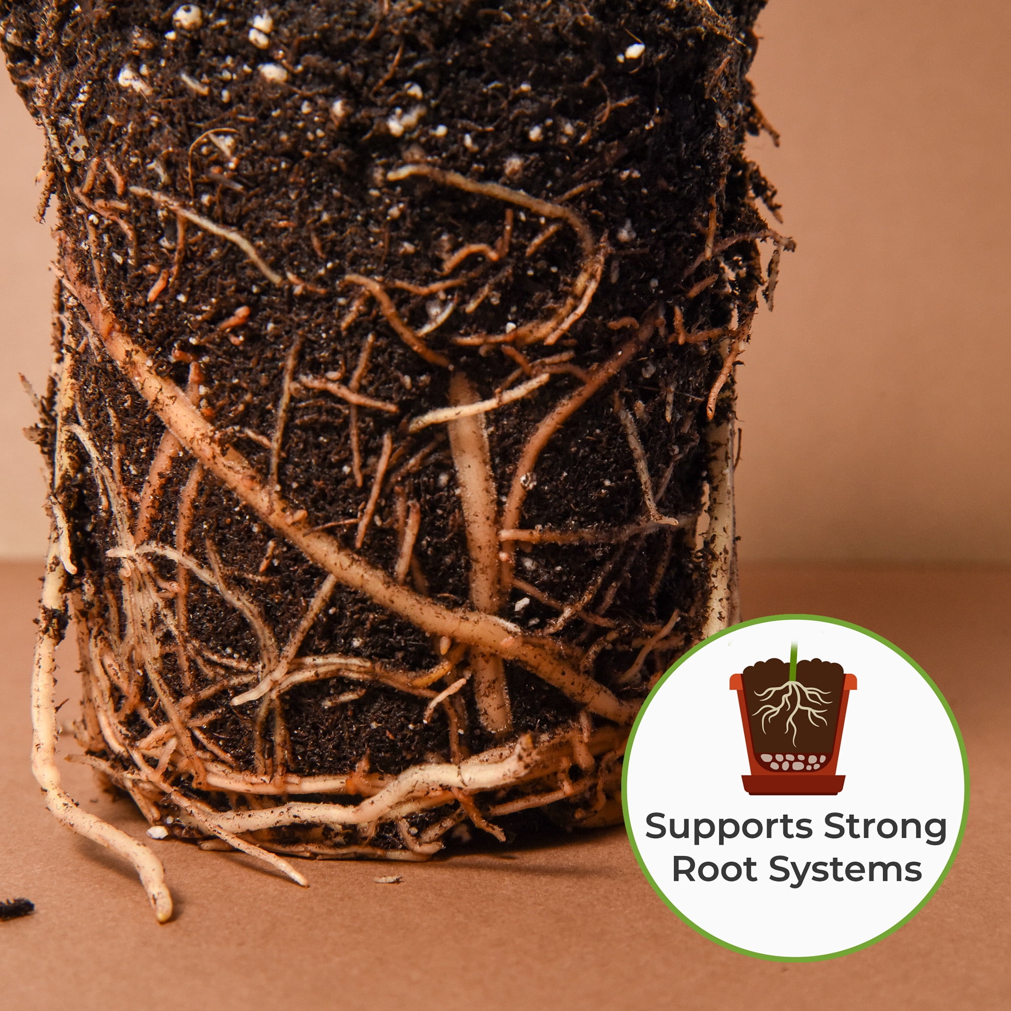 Organic Snake Plant Soil in 8qt. Bag, Potting Mix for All Snake Plant Varieties, High Drainage