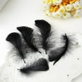 thumbnail image 4 of 100Pieces Black Wing Natural Craft Wing For Art Craft Dream Catchers Wedding Decoration Dress Masquerade Mask, 4 of 9