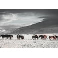 thumbnail image 2 of The Yellowstone Collection 18x13 White Modern Wood Framed Museum Art Print Titled - The Frozen Plain, 2 of 4