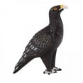 thumbnail image 1 of 2x Animal Modelo de águila Australiana Cola de Cuña Modelo de águila Figuras de Pájaros Realistas 2 piezas, 1 of 8