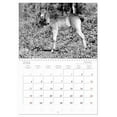 thumbnail image 5 of The last of the wild horses Exmoor ponies (Monthly Wall Calendar 2026 11.7 x 16.5 (open)), CALVENDO 14 Month Calendar, 5 of 9