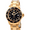 Gold, variant on Pro Diver Black Dial Stainless Steel 40 mm Men's Watch 26970