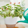 thumbnail image 5 of 5Packs Self Watering Plant Pots Planters with Multi Mesh Drainage Holes for Indoor Outdoor Garden Plants and Flowers, 5 of 7