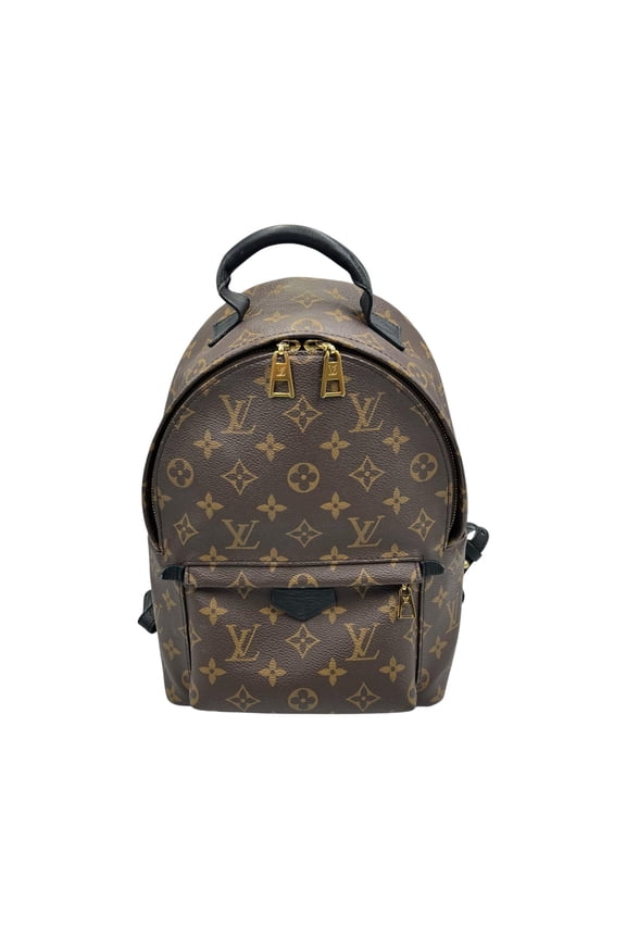 Pre-Owned Louis Vuitton Palm Springs Backpack PM M44871 Monogram Canvas Brown Women's... (Fair)