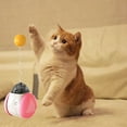 thumbnail image 5 of Funny cat interactive toy, tumbler, cat toy, leaky toy with funny cat stick pink, 5 of 5