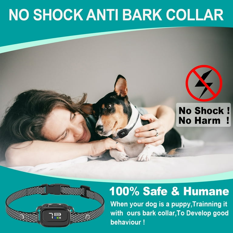 Bark collar for small dogs walmart online