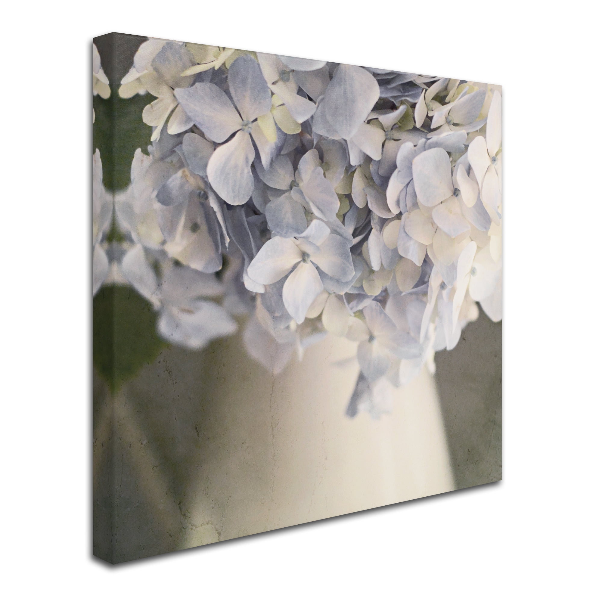 Trademark Fine Art 'Summertime Blues' Canvas Art by Brookview Studio