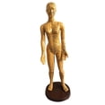 thumbnail image 2 of 1 modelo de acupuntura de cuerpo humano masculino/femenino-punto de presión y meridianos Mujer 1 shamjiam Small Acupoint del cuerpo humano, 2 of 3