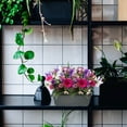 thumbnail image 4 of Milisten Jardinera Vertical Para Pared En Ideal Para Patios Balcones Y Áreas Comunitarias, 4 of 8