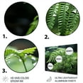 thumbnail image 3 of Designart "A Close Up Photo of Ferns V" Floral Metal Art Print, 3 of 5