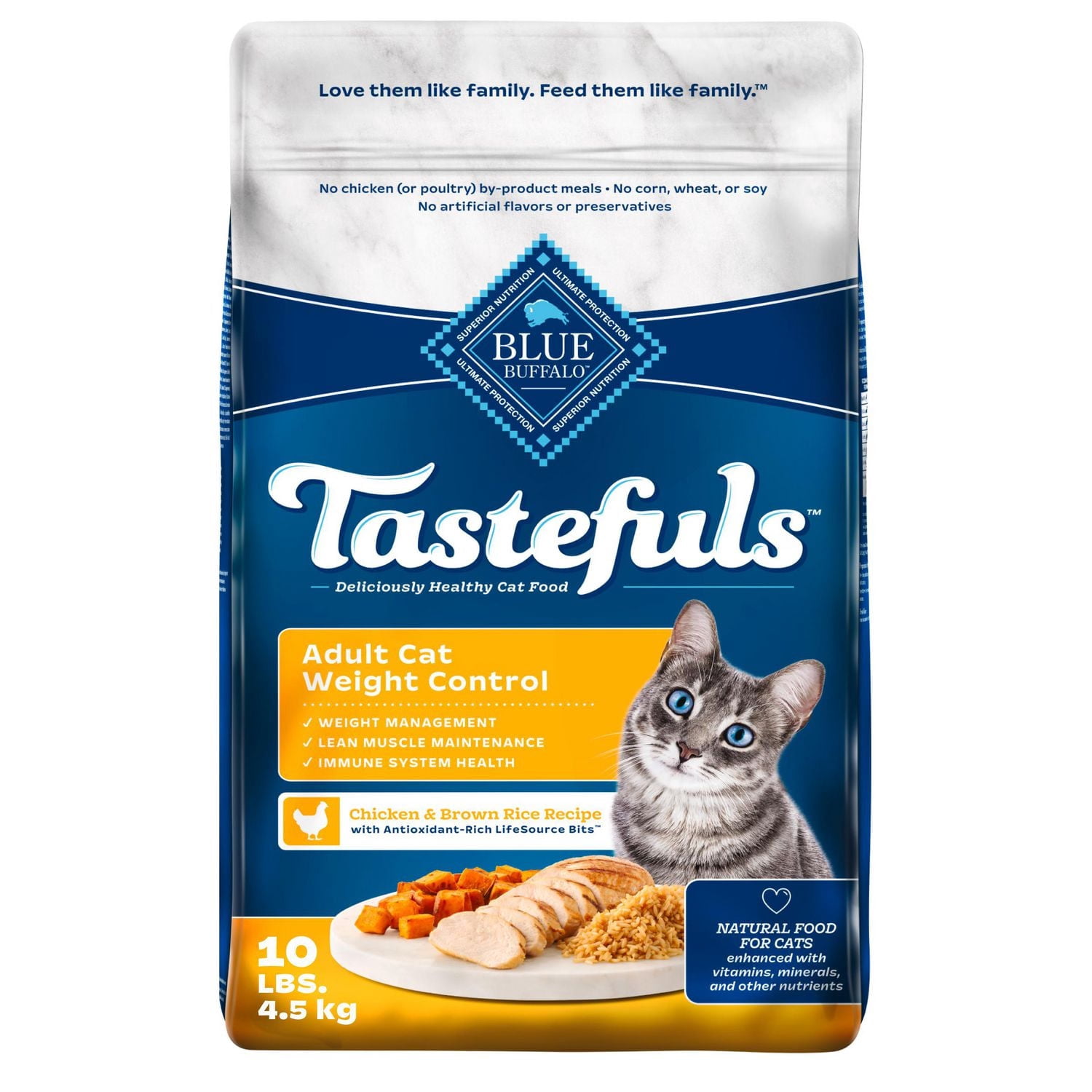 What Type of Food for Adult Cats: Ultimate Guide to Healthy Choices