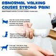 thumbnail image 3 of Oimmal Dogs Joint Aid Drops, Chondroitin & Glucosamine Supplement, for Dogs Joint Health, 2 Oz - Bacon Flavor, 3 of 11