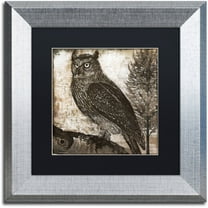 Trademark Fine Art "Owl 2" Canvas Art by Color Bakery Black Matte, Silver Frame