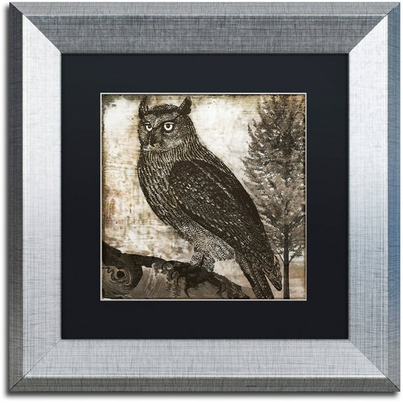 Trademark Fine Art "Owl 2" Canvas Art by Color Bakery Black Matte, Silver Frame