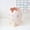 Pink, variant on CMYYNNA Plastic Containers 1pcs Dinosaur Egg Pencil Holder Cute Pen Cup Egg Holder Organizer Novelty cil Container Container Stationery Box for Dino Party Decorations Supplies(Blue)