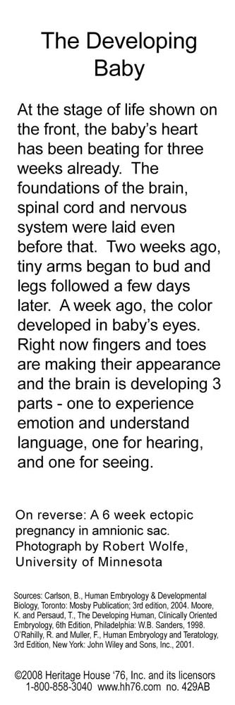 A Baby is a Person Pro-Life Bookmark