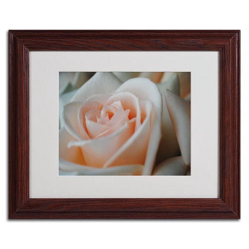 Trademark Fine Art "Perfezione" by Monica Fleet, Wood Frame