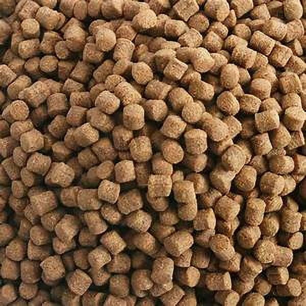 Hikari Koi Wheat Germ 17.6 oz  Sinking Medium Pellet  Daily Fish Food