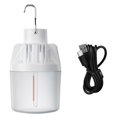 thumbnail image 1 of Portable Tungsten Filament Lantern Suitable for Camping Waterproof Windproof Designs with 4 Light Modes Long Lifespans, 1 of 4